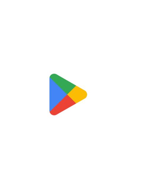 Google Play Store Logo